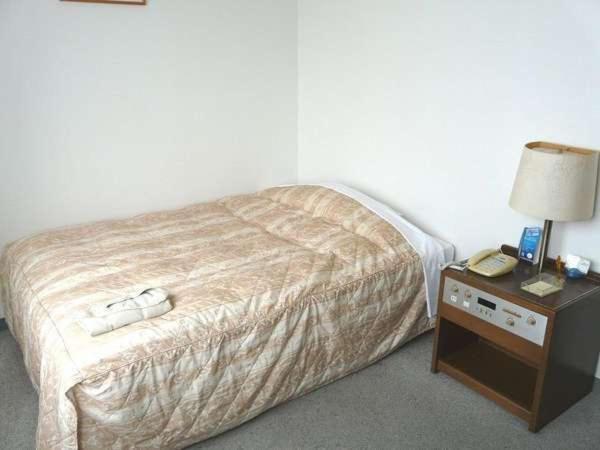 Hotel Peace Land Ishigaki Ishigaki  Rum bild