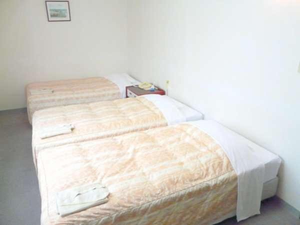 Hotel Peace Land Ishigaki Ishigaki  Rum bild